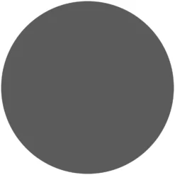 Rust-Oleum Radiator Paint Cast Iron - Spray - 400ml -Rust-Oleum || Hammerite Sales 12808408 9284832957009127