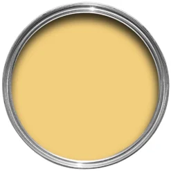 Farrow & Ball Modern Eggshell Paint Citron - 2.5L -Rust-Oleum || Hammerite Sales 12818875 1874952650296693