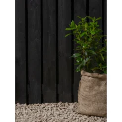 Ronseal Fence Life Plus Paint Tudor Black Oak - 5L -Rust-Oleum || Hammerite Sales 12833707 3314944410694045