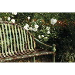 Rust-Oleum Rust Reformer - Black - 400ml 7 Rust-Oleum Rust Reformer - Black - 400ml -Rust-Oleum || Hammerite Sales 12841671 1734833217695531